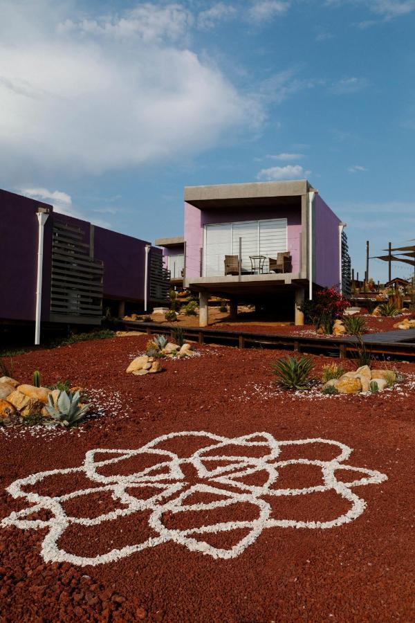 Vila Flor De Cera Valle de Guadalupe Exteriér fotografie