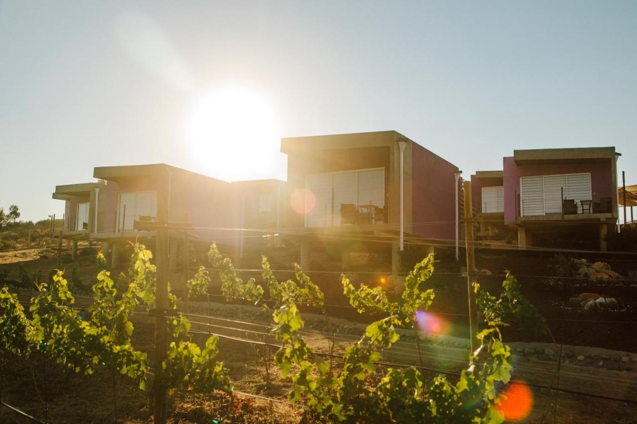 Vila Flor De Cera Valle de Guadalupe Exteriér fotografie