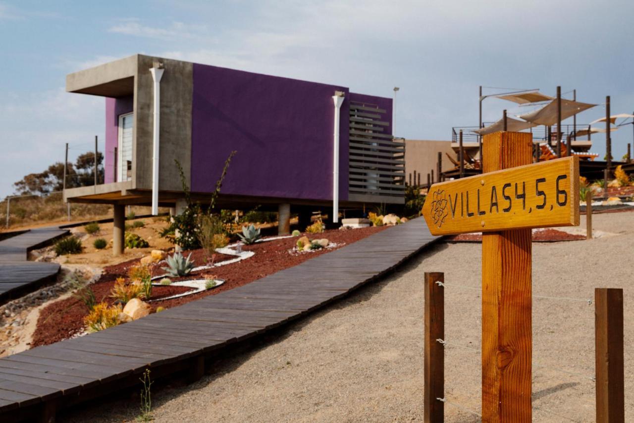 Vila Flor De Cera Valle de Guadalupe Exteriér fotografie