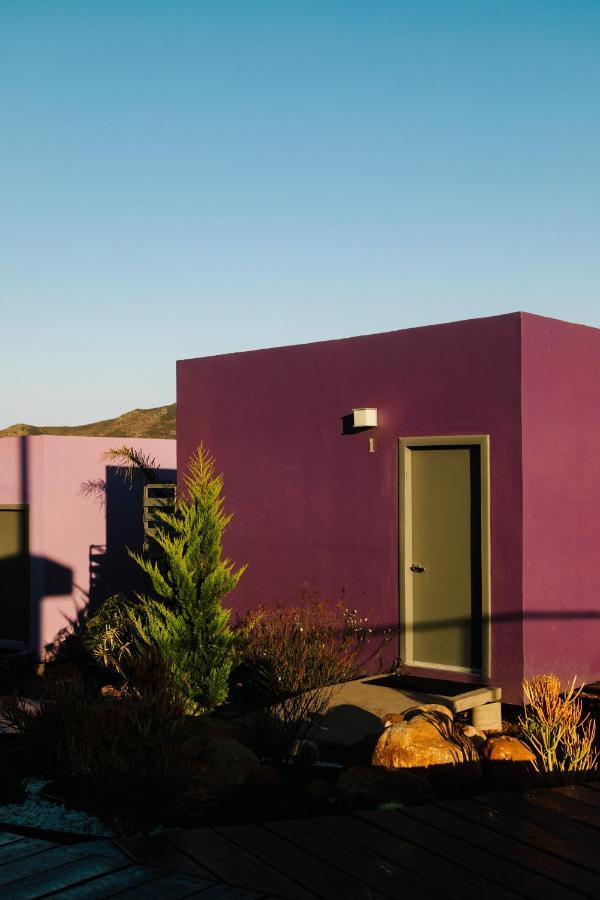Vila Flor De Cera Valle de Guadalupe Exteriér fotografie